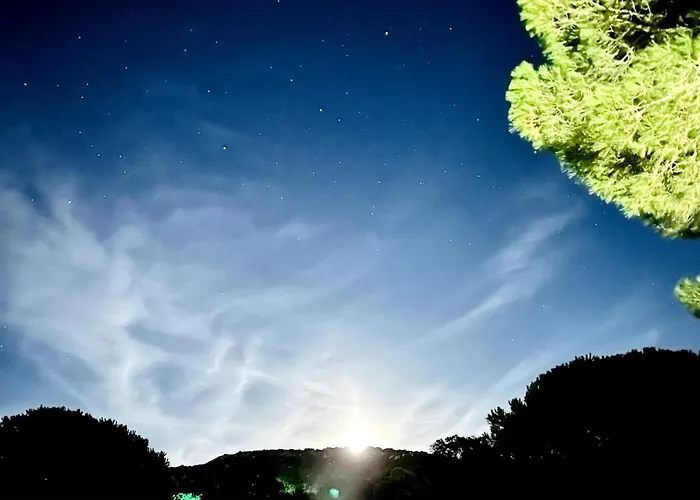 Villa Avec Piscine Proche Palombaggia Porto-Vecchio (Corsica)