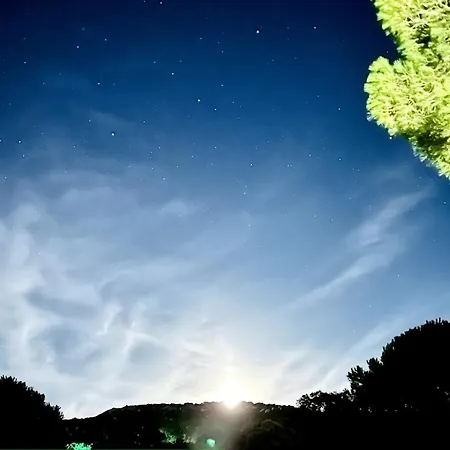 Villa Avec Piscine Proche Palombaggia Porto-Vecchio (Corsica)