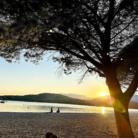 Avec Piscine Proche Palombaggia